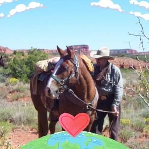 Meet your Posher, Harvey